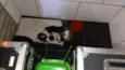 Gatineos