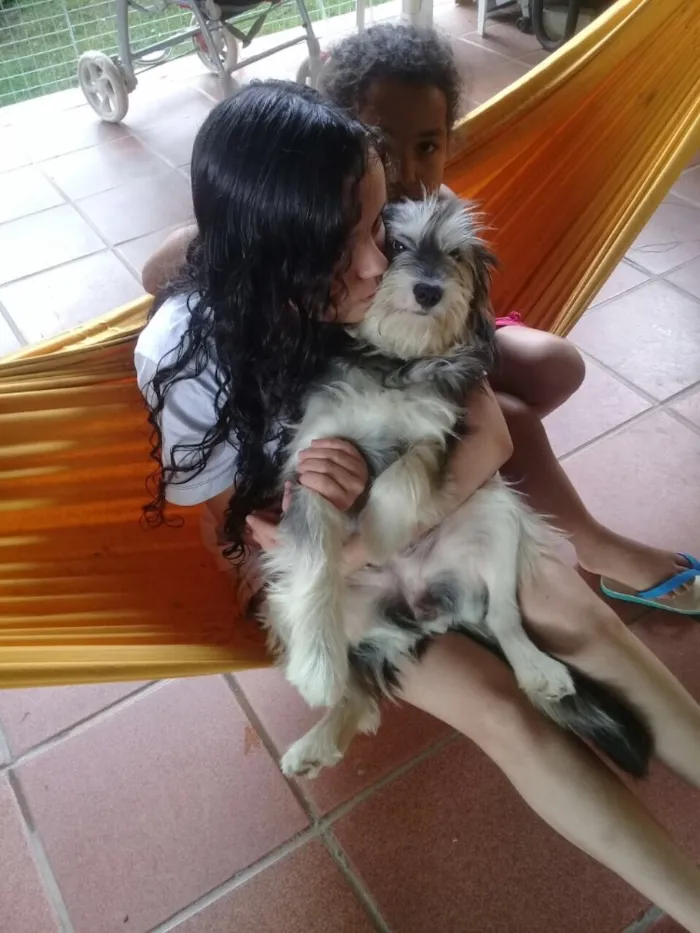Cachorro ra a SRD  idade  nome Valentino e Vitória 