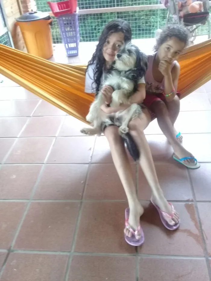 Cachorro ra a SRD  idade  nome Valentino e Vitória 