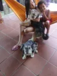 Valentino e Vitória