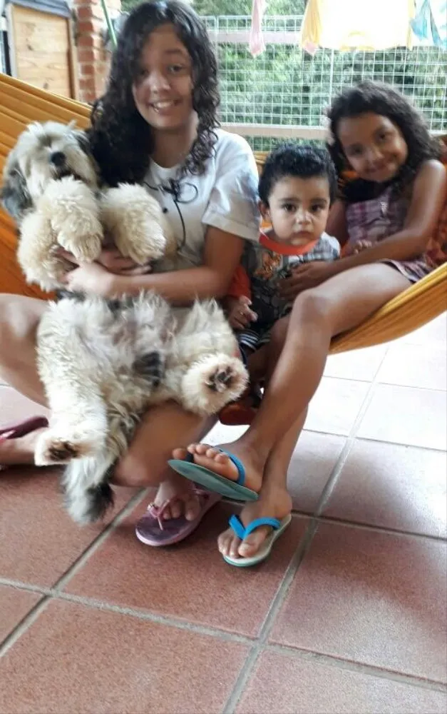 Cachorro ra a SRD  idade  nome Valentino e Vitória 