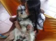 Valentino e Vitória