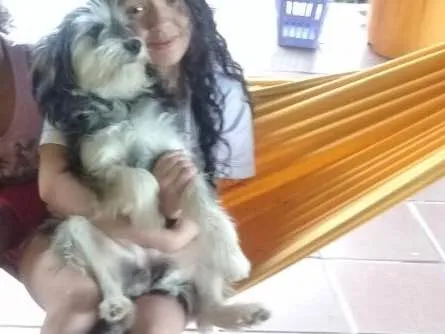 Cachorro ra a SRD  idade  nome Valentino e Vitória 