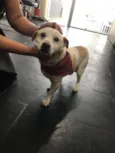 Billy
