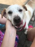 Billy
