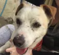 Billy