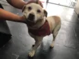 Billy