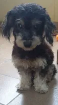 Olavo