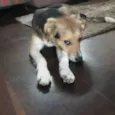Billy