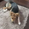 Billy
