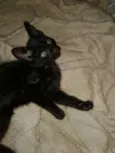 MARIE E LOLA