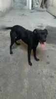 Rex