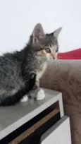 Nina