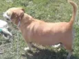 Kika