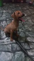Sem nome defonido
