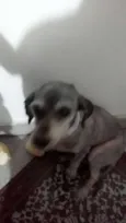 Fiona