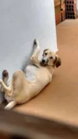 Kita