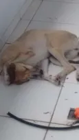 Kita