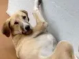 Kita