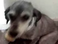 Fiona