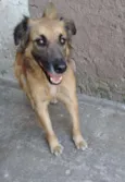 Tico e teco