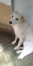 Rubi