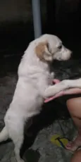 Rubi