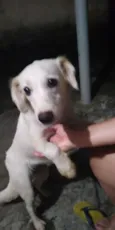 Rubi