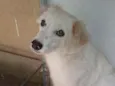 Rubi