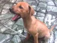 Sem nome defonido