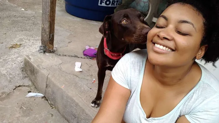 Cachorro ra a Mestiço idade 2 anos nome Princesa