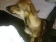 Não tem