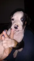 Lulu