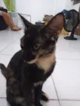 Mia