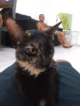 Mia