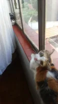Wanda e Mel
