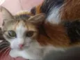 Wanda e Mel