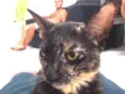 Mia