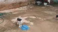 Não tem nomes