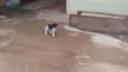 Não tem nomes