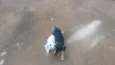 Não tem nomes