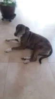 Escopeta