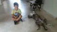 Escopeta