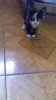 Lili