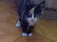Lili