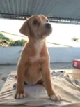 não tem