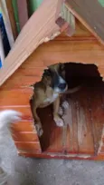 meg, nino, nina