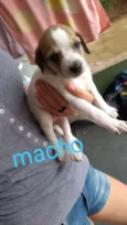 Diego
