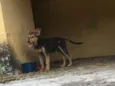 Não tem ainda