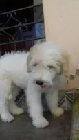 Mily